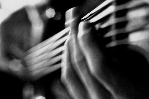 IMG_3421 2 IMG_3421 2