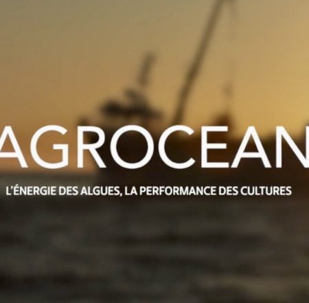 Agrocean-VoiceOver TUMTUM Studio